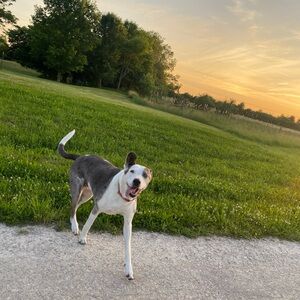 Meet your Posher, Katherine